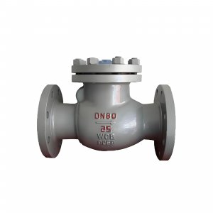 DN50 PN25 介質：甲胺，溫度：80℃止回閥